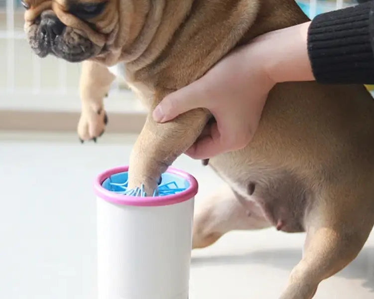 PatiFresh + eBook Cuidado de Perros